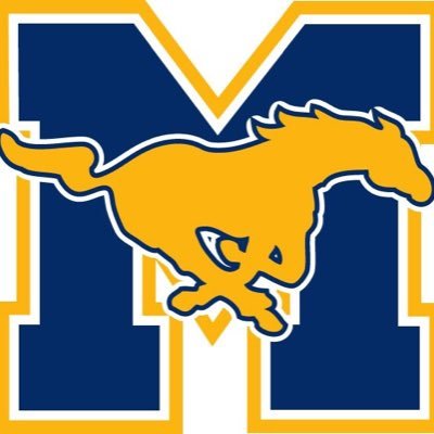 MHSscoreupdates's profile picture