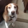 Saltydog888's profile picture