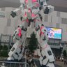 ケイ's profile picture