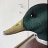takemaro's profile picture