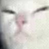 Profilbild von jonhjonhdee