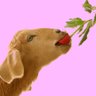 Puns N' Roses 的头像