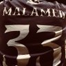 Jeremy Malamed's profile picture