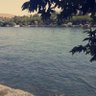 al-obaidy 的头像