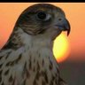 النادر profil fotoğrafı