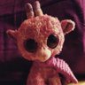 Profilbild von Angie Bee