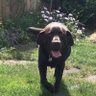 Lord Bailey profil fotoğrafı