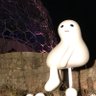 おんどり's profile picture