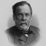 Mösyö Tibo 的头像