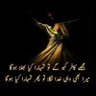 در بہ در 的头像