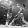 Profilbild von Boxing Bet Guru