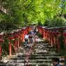 Фото профиля ライン際のペテン師