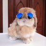 Profilbild von hululu