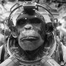 Profilbild von Astromonkey1