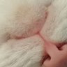 Тамара 的头像