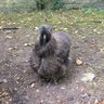 Edward Battensby's profile picture