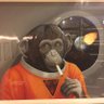 Profilbild von Beeman