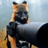 Greeny profil fotoğrafı