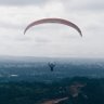 Sane_Volley's profile picture