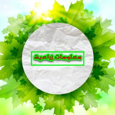 FARM3UQLATSUQUR's profile picture