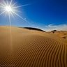 علي الجنابي's profile picture