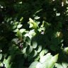 Фото профиля Tomty NaturePhile