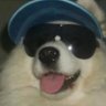 weed eater's profile picture
