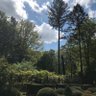 Фото профиля lyzi
