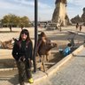 Sandra Lam's profile picture