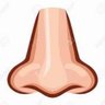 The Nose's profile picture