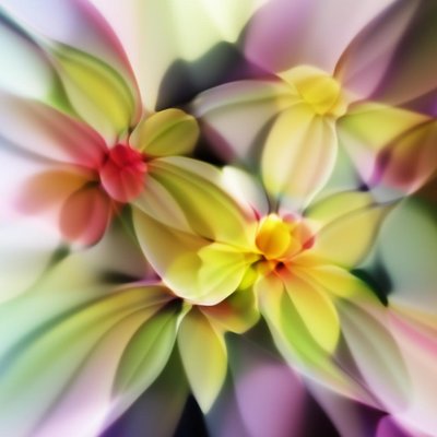 Alex Mordvintsev's profile picture