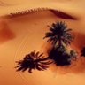 Naseer Alturaiki's profile picture