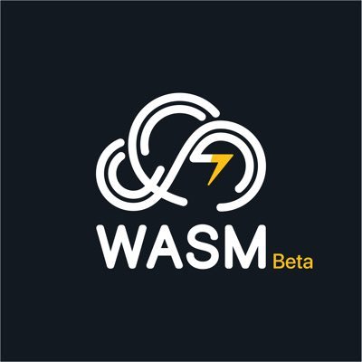 WASM | وسم's profile picture