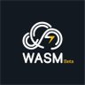WASM | وسم 的头像
