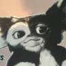 Фото профиля Gizmo Pine(ギズモ・パイン)