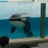 く~たん🐳's profile picture