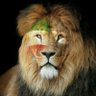 Фото профиля فرخزاد