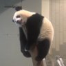 853 的头像