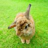 Nineeeew profil fotoğrafı