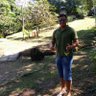 Dalcimar profil fotoğrafı