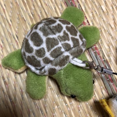 kame4011's profile picture