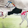 TheNaranjo95's profile picture