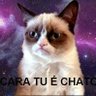 Фото профиля Gatomaluco7dias