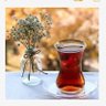 Ord. Antiyobaz ELİF 的头像