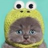 Profilbild von пес да лис
