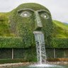 てる profil fotoğrafı