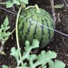 Фото профиля sapporoblog