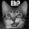 Ygdrad's profile picture