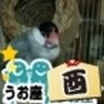 蝦夷王@人類みな兄弟、喧嘩もする//夜が好き's profile picture