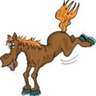 Bill ๐ฆ๐บ's profile picture